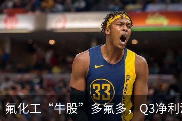 氟化工“牛股”多氟多，Q3净利润环比下降41%，股价较年内高点回撤56%
